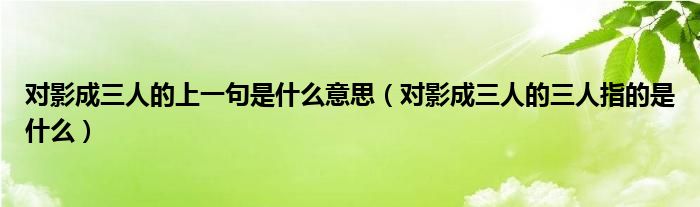 對影成三人的上一句是什么意思（對影成三人的三人指的是什么）