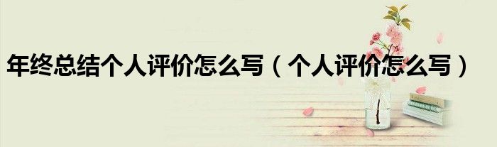 年終總結(jié)個(gè)人評(píng)價(jià)怎么寫(xiě)（個(gè)人評(píng)價(jià)怎么寫(xiě)）