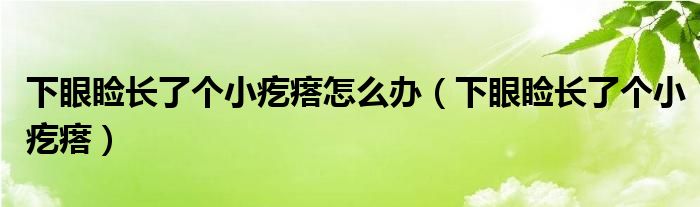 下眼瞼長了個小疙瘩怎么辦（下眼瞼長了個小疙瘩）