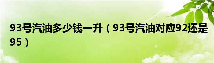 93號汽油多少錢一升（93號汽油對應(yīng)92還是95）