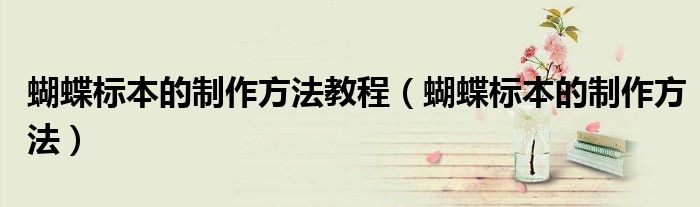 蝴蝶標(biāo)本的制作方法教程（蝴蝶標(biāo)本的制作方法）