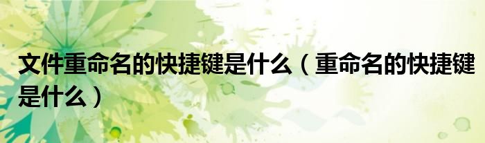 文件重命名的快捷鍵是什么（重命名的快捷鍵是什么）