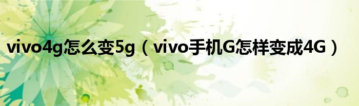 vivo4g怎么變5g（vivo手機G怎樣變成4G）