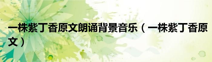 一株紫丁香原文朗誦背景音樂（一株紫丁香原文）