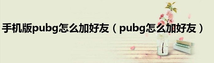 手機版pubg怎么加好友（pubg怎么加好友）