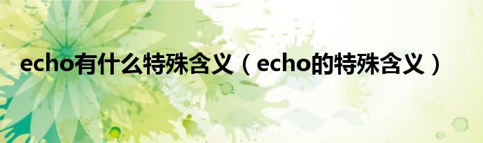echo有什么特殊含義（echo的特殊含義）