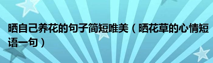 曬自己養(yǎng)花的句子簡短唯美（曬花草的心情短語一句）