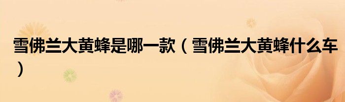 雪佛蘭大黃蜂是哪一款（雪佛蘭大黃蜂什么車）