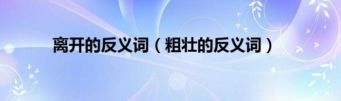 離開的反義詞（粗壯的反義詞）
