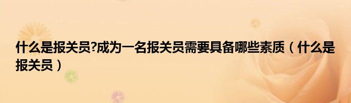 什么是報關(guān)員?成為一名報關(guān)員需要具備哪些素質(zhì)（什么是報關(guān)員）
