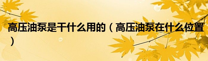 高壓油泵是干什么用的（高壓油泵在什么位置）