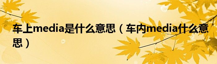 車上media是什么意思（車內(nèi)media什么意思）