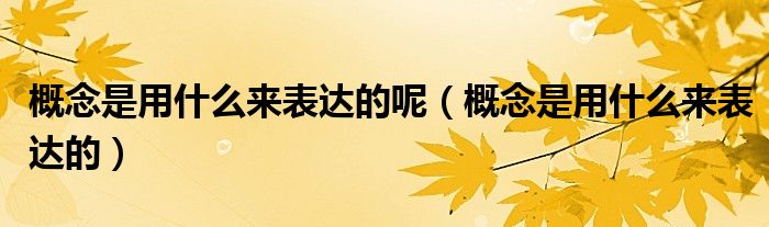 概念是用什么來(lái)表達(dá)的呢（概念是用什么來(lái)表達(dá)的）