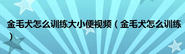 金毛犬怎么訓(xùn)練大小便視頻（金毛犬怎么訓(xùn)練）