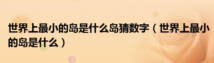 世界上最小的島是什么島猜數(shù)字（世界上最小的島是什么）