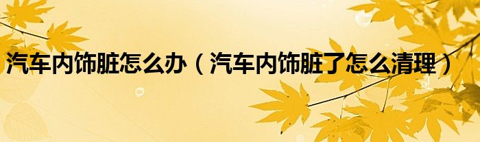汽車內(nèi)飾臟怎么辦（汽車內(nèi)飾臟了怎么清理）