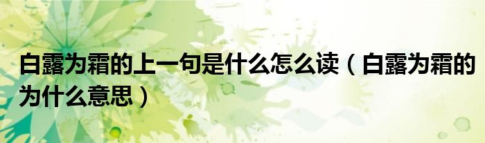 白露為霜的上一句是什么怎么讀（白露為霜的為什么意思）