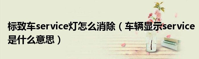 標(biāo)致車service燈怎么消除（車輛顯示service是什么意思）