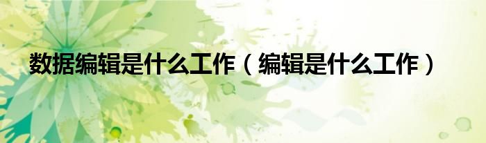 數(shù)據(jù)編輯是什么工作（編輯是什么工作）