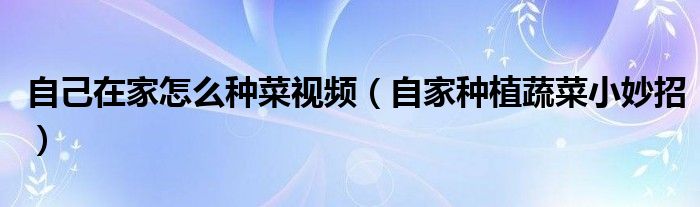 自己在家怎么種菜視頻（自家種植蔬菜小妙招）