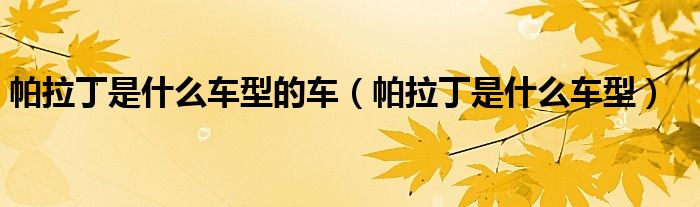 帕拉丁是什么車型的車（帕拉丁是什么車型）