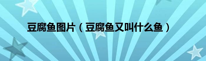 豆腐魚圖片（豆腐魚又叫什么魚）