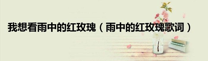 我想看雨中的紅玫瑰（雨中的紅玫瑰歌詞）