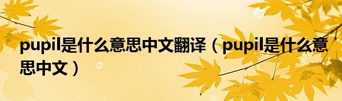 pupil是什么意思中文翻譯（pupil是什么意思中文）