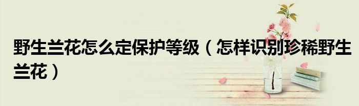 野生蘭花怎么定保護(hù)等級（怎樣識別珍稀野生蘭花）
