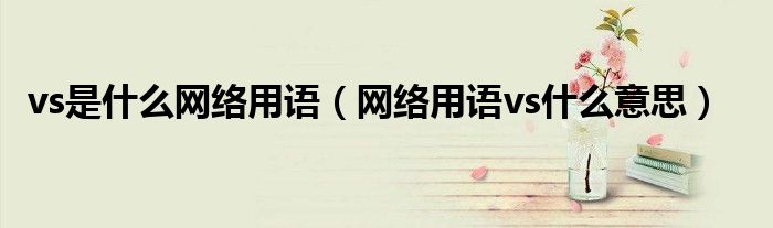 vs是什么網(wǎng)絡(luò)用語(yǔ)（網(wǎng)絡(luò)用語(yǔ)vs什么意思）