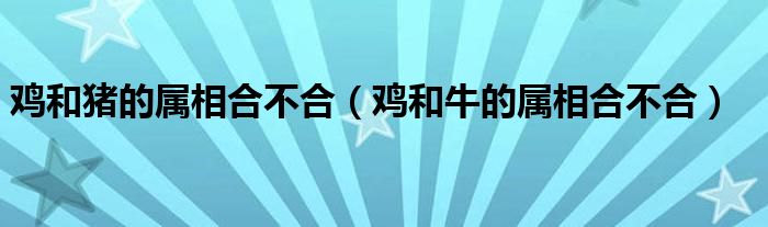 雞和豬的屬相合不合（雞和牛的屬相合不合）