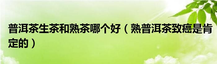 普洱茶生茶和熟茶哪個好（熟普洱茶致癌是肯定的）