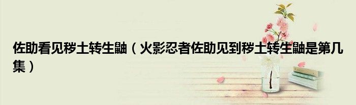 佐助看見穢土轉(zhuǎn)生鼬（火影忍者佐助見到穢土轉(zhuǎn)生鼬是第幾集）