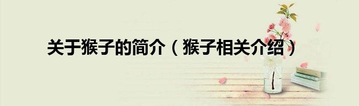 關于猴子的簡介（猴子相關介紹）