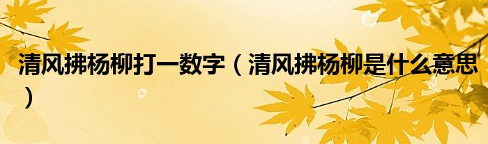 清風拂楊柳打一數(shù)字（清風拂楊柳是什么意思）