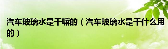 汽車玻璃水是干嘛的（汽車玻璃水是干什么用的）