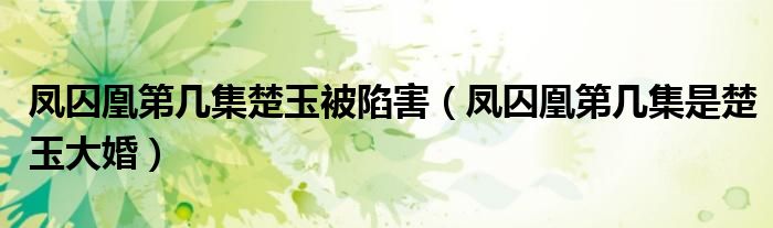 鳳囚凰第幾集楚玉被陷害（鳳囚凰第幾集是楚玉大婚）