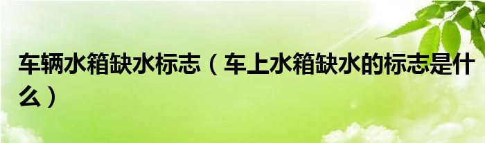 車輛水箱缺水標(biāo)志（車上水箱缺水的標(biāo)志是什么）