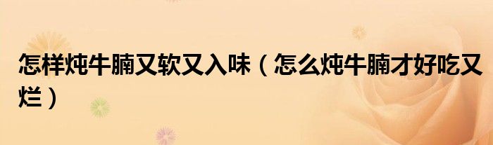 怎樣燉牛腩又軟又入味（怎么燉牛腩才好吃又爛）