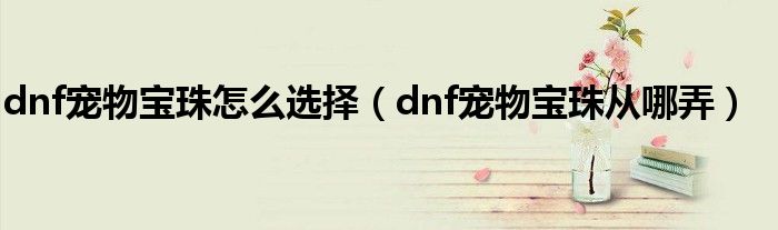 dnf寵物寶珠怎么選擇（dnf寵物寶珠從哪弄）