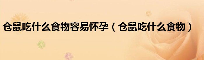 倉鼠吃什么食物容易懷孕（倉鼠吃什么食物）