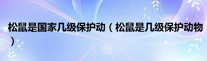 松鼠是國家?guī)准壉Ｗo動（松鼠是幾級保護動物）