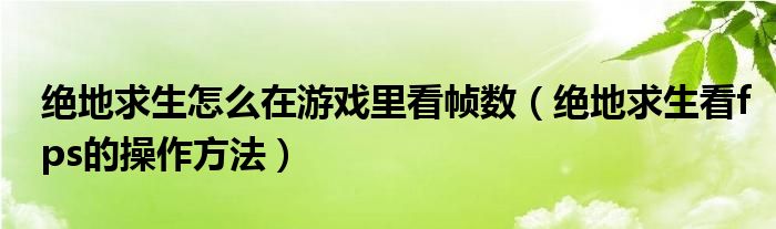 絕地求生怎么在游戲里看幀數(shù)（絕地求生看fps的操作方法）
