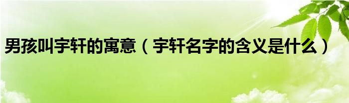 男孩叫宇軒的寓意（宇軒名字的含義是什么）