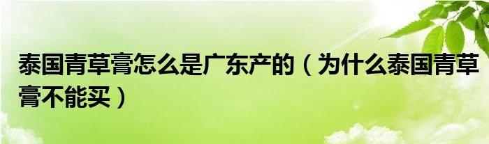 泰國青草膏怎么是廣東產(chǎn)的（為什么泰國青草膏不能買）