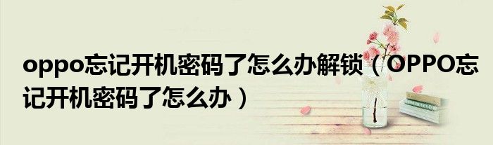 oppo忘記開機密碼了怎么辦解鎖（OPPO忘記開機密碼了怎么辦）