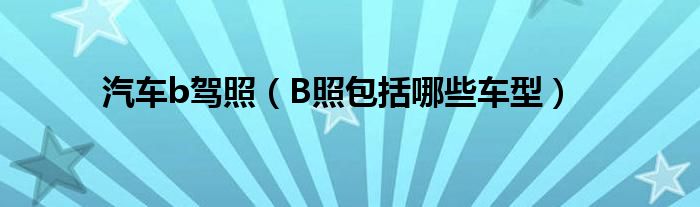 汽車b駕照（B照包括哪些車型）