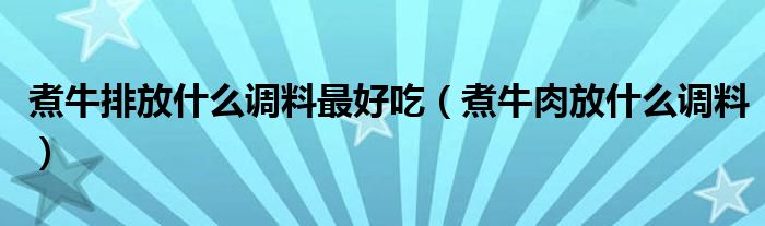 煮牛排放什么調(diào)料最好吃（煮牛肉放什么調(diào)料）