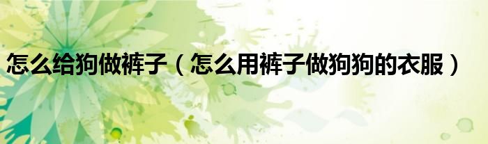 怎么給狗做褲子（怎么用褲子做狗狗的衣服）