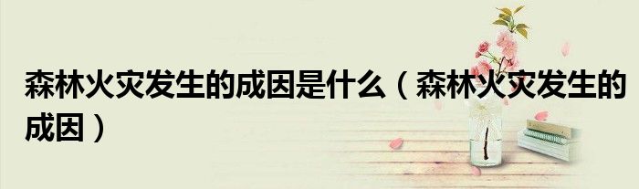 森林火災(zāi)發(fā)生的成因是什么（森林火災(zāi)發(fā)生的成因）